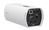 Sony SRG-XB25 Box IP security camera Indoor 3840 x 2160 pixels