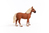 schleich FARM WORLD Poulinière belge