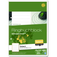 Ringbuchblock A5 70g 100 Blatt 9mm liniert