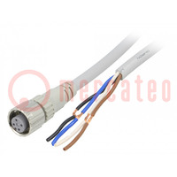 Connection lead; M12; PIN: 4; straight; 2m; plug; 250VAC; 4A; PVC
