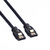 ROLINE Internal SATA 6.0 Gbit/s Cable with Latch, 0.5 m