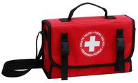 LEINA Erste-Hilfe-Notfalltasche klein, Inhalt DIN 13157 (8923021)