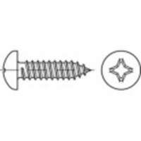 Toolcraft 144992 screw/bolt 19 mm 100 pc(s)