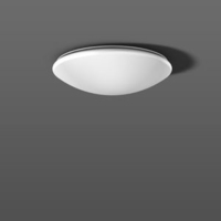 RZB Flat Polymero plafondverlichting LED E