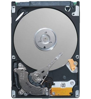 DELL 400-ALQT interne harde schijf 3.5" 2 TB NL-SAS