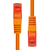 ProXtend 6UTP-005O netwerkkabel Oranje Cat6 U/UTP (UTP)