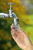Gardena 18222-20 raccord des tuyaux d'eau Connecteur de robinet Gris 1 pièce(s)