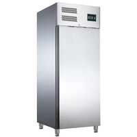 SARO Tiefkühlschrank Modell EGN 650 BT - Material: (Gehäuse und Innenraum)