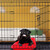Relaxdays Hundekäfig für zuhause, Büro, Auto Hundebox faltbar, Stahl Gitterbox mit Wanne, Kennel 86,5x121,5x79cm schwarz