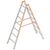 Double sided rung ladder