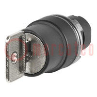 Switch: rotary with key; 22mm; Stabl.pos: 2; none; IP65; prominent
