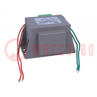 Transformador: de red; 52VA; 230VAC; 17V; 3,06A; Sal: cables 200mm
