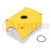 Enclosure: for remote controller; IP66; X: 75mm; Y: 101mm; Z: 61mm