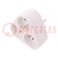 Connector: AC-voeding; splitter; 2P+PE; 250VAC; 16A; wit