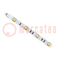 Cinta LED; blanco caliente; 5050; 12V; LED/m: 30; 10mm; blanco PCB