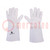 Protective gloves; Size: 10; natural leather; TIG15K