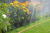 Gardena 995 tuinsprinkler Slang Oranje