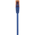 Renkforce RF-5043876 hálózati kábel Kék 1 M Cat6 U/UTP (UTP)