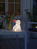 Konstsmide 6236-103 decoratieve verlichting Lichtdecoratie figuur 24 gloeilamp(en) LED 0,48 W