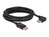 DeLOCK 87069 DisplayPort kabel 5 m Zwart