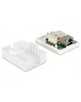 Delock Wanddose RJ-45 weiß Netzwerk Anschlussdose 1 Port Cat.6