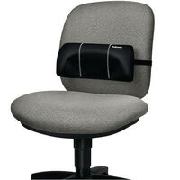Fellowes portable lumbar back support