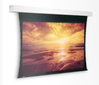 Da-Lite 10800134 projection screen 4.6 m (181") 16:10