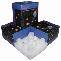 Isolation kits DNA/RNA magnetic beads Description SileksMagNA-G™ Cell Culture DNA Isolation Kit