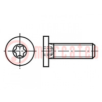 Schroef; M5x16; 0,8; Kop: cilinder; Torx®; TX15; staal; zink