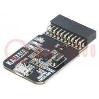 Programozó készülék: mikrokontroller; ARM; IDC20,USB micro