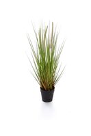 Artificial Dogtail Grass - 52cm, Green