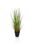 Artificial Dogtail Grass - 180cm, Green
