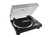 Omnitronic BD-1390 Piatto per DJ con trasmissione a cinghia Nero